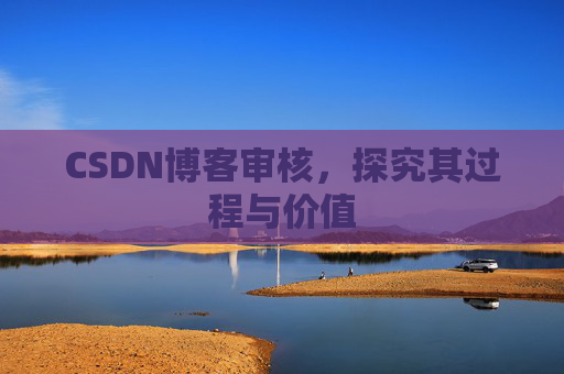 CSDN博客审核,探究其过程与价值
